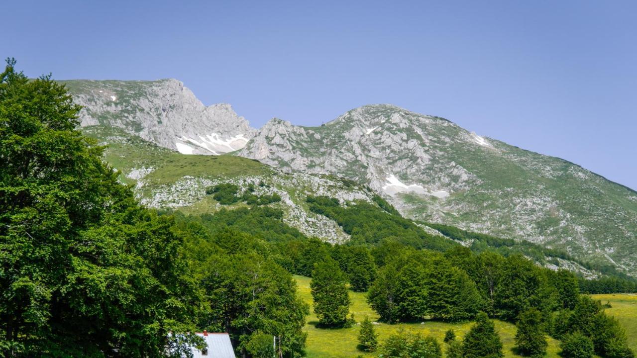 Mountain House Drveni Raj Villa Zabljak  Ngoại thất bức ảnh